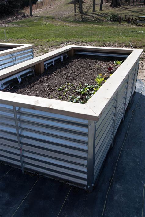 using galvanized metal for raised bed with earth boxes|are metal raised garden beds safe.